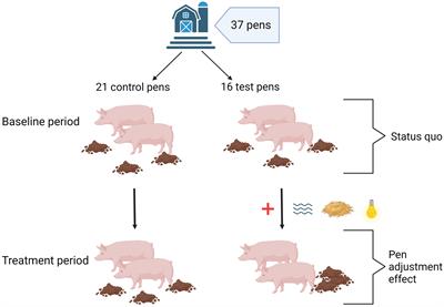 Measures to affect the elimination behaviour of fattening pigs in a conventional housing system